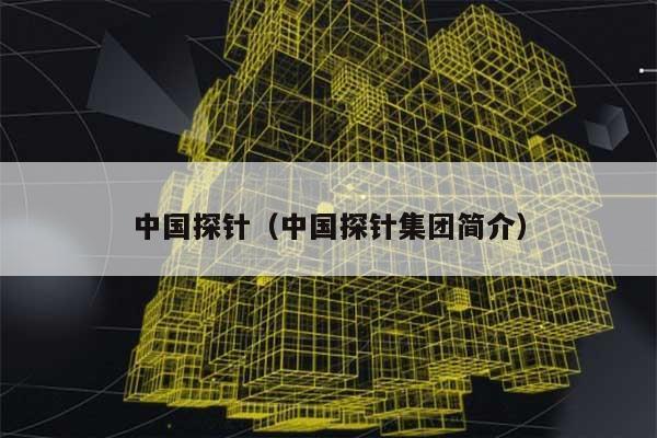 中国探针（中国探针集团简介） 第1张