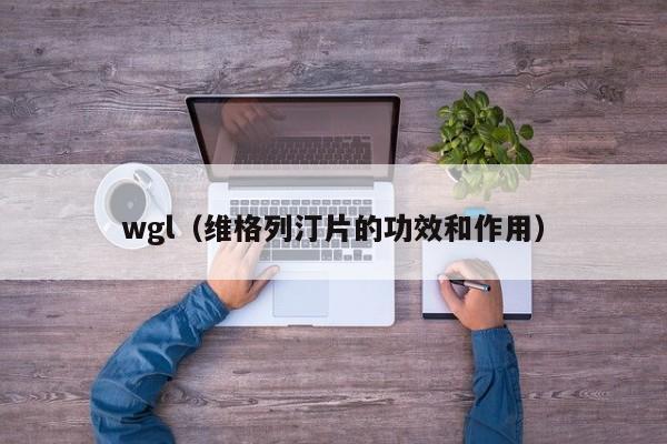 wgl（维格列汀片的功效和作用） 第1张